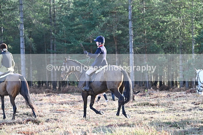 WJ7_7252 - Line 3 (no line 4 or 5)