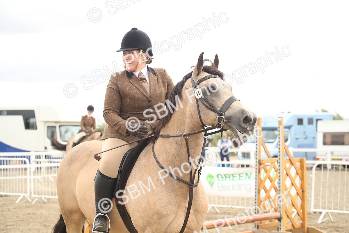 SBM_16684 - Class 507a - Working Veteran - 60cm (15-19)