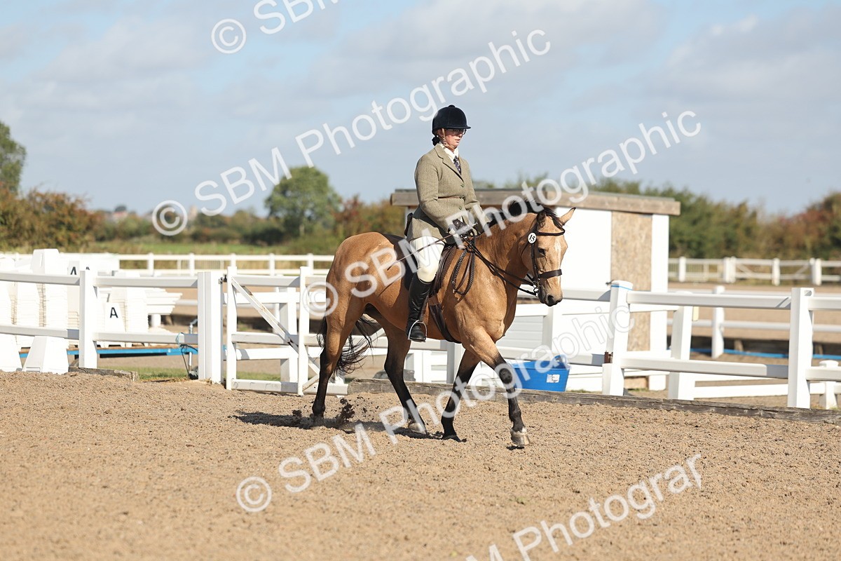 SBM_22601 - Class 804 - Ridden Veteran Pony