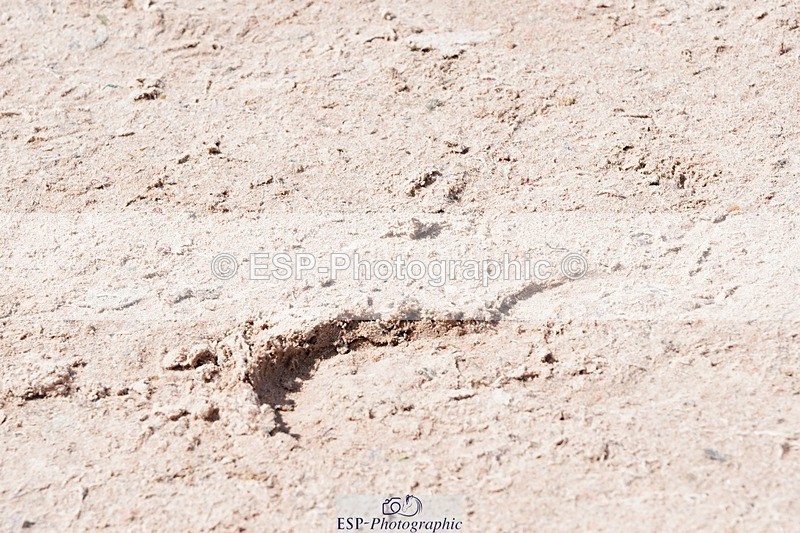 250427-135026-16608 - Cls 8 - 2 Star Medium Tour