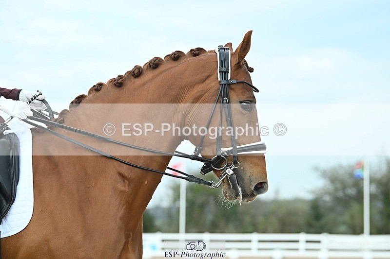 250403-091304-00586 - 035-Jessica.Hickey-Bespoke