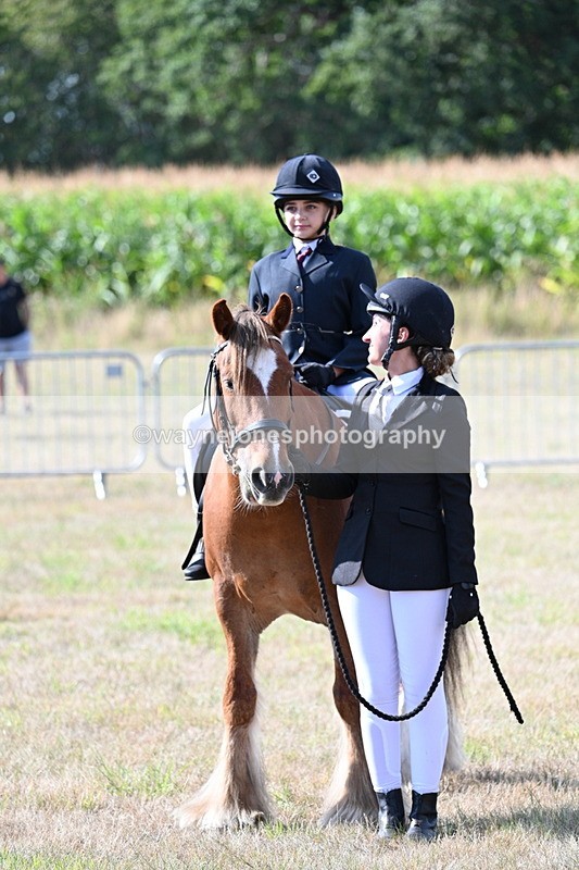 WJ7_2745 - Class 8 Ridden Tack & Turnout