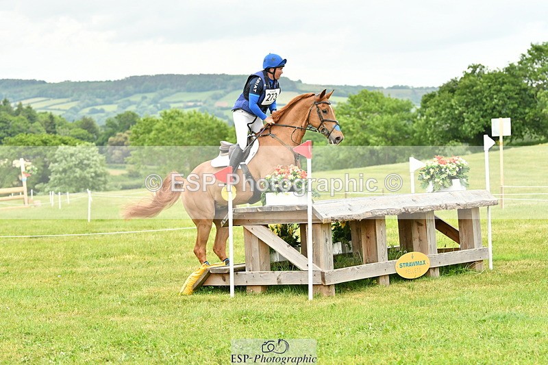 250524A-164336-14826 - C-273-Tim.Cheffings-HEARSAY.LARK.RISING