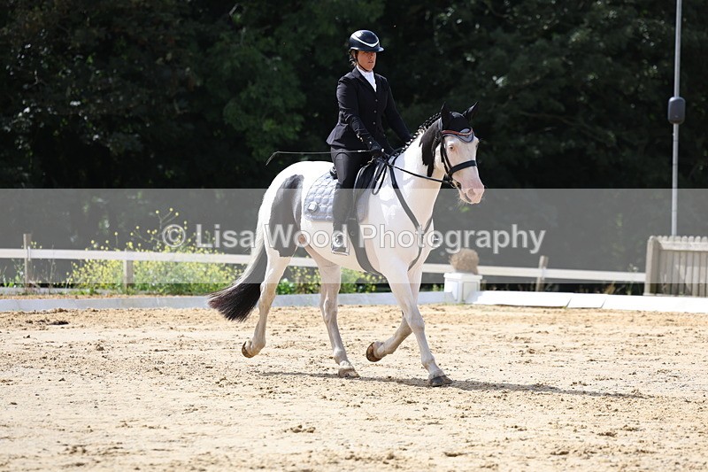 3E7A4040 - Class 9: Novice 6 Section B Championship