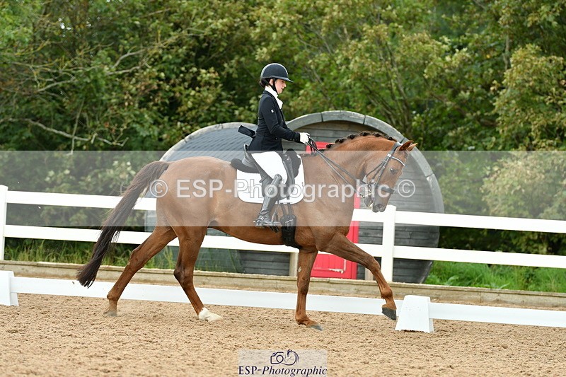 230912A-153147-01582 - Cls 13 Adv Medium 91