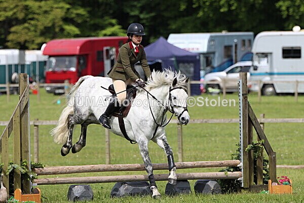 IMG_3117 - Working Hunter