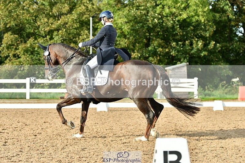 230912A-171530-01979 - Cls 23 FEI Grand Prix