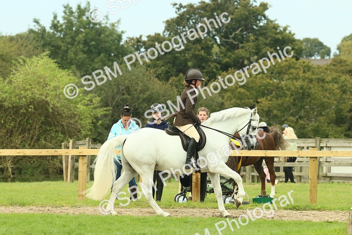 SBM_71905 - S60 - Mountain & Moorland Ridden Large Breeds