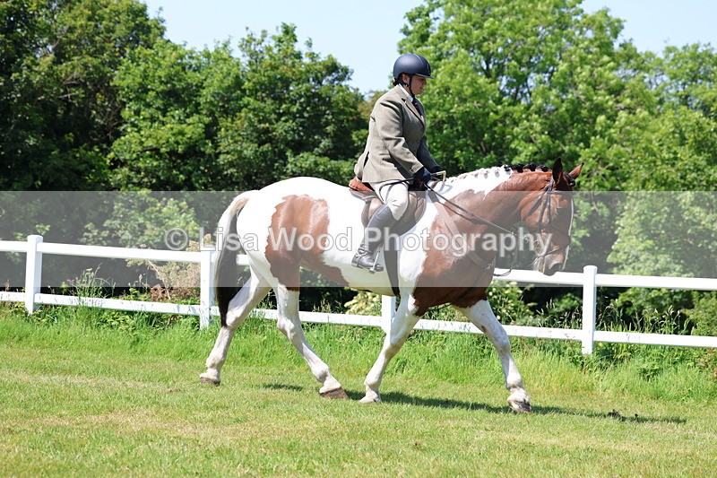 3E7A7139 - Class 30: Novice Working Hunter