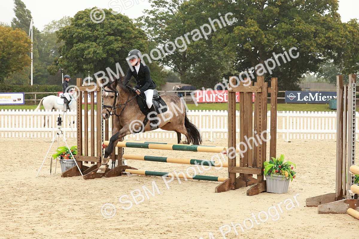 SBM_71317 - J14 - Junior Pony 65cm Championship