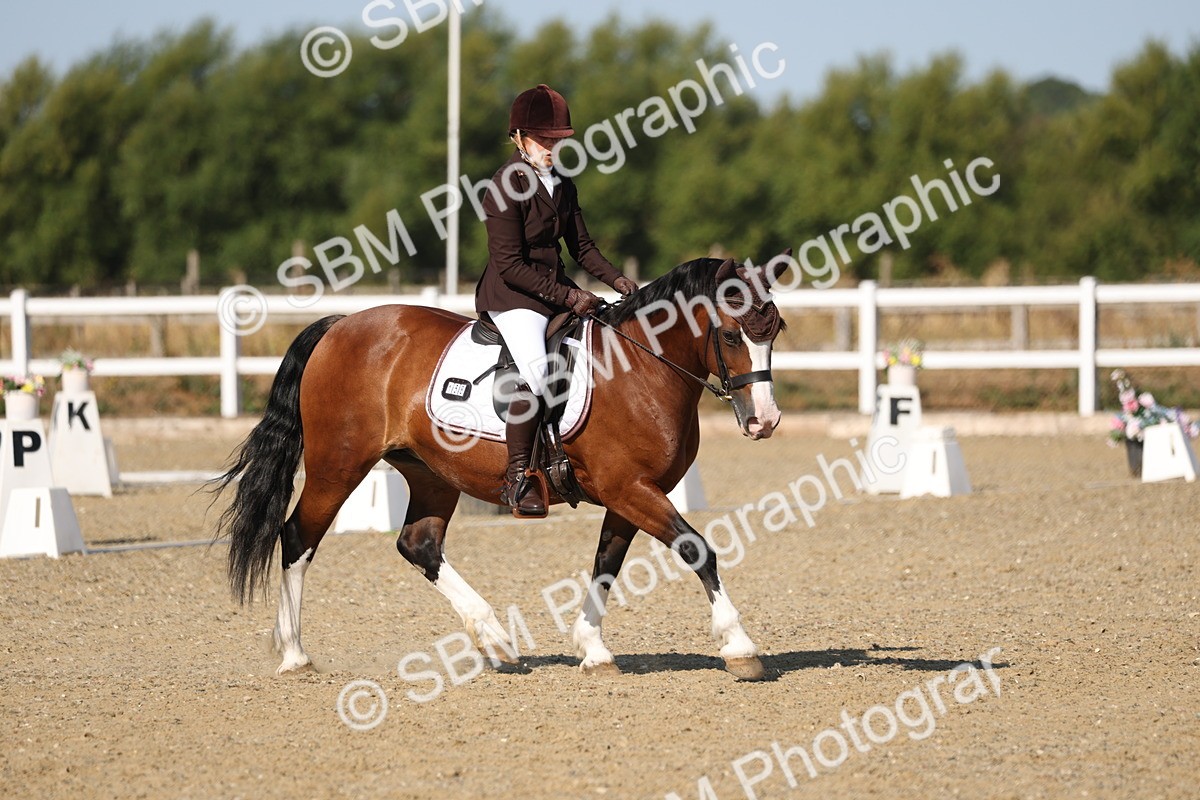 SBM_012784 - Class 1 - P5 Bronze 9.00.10.12