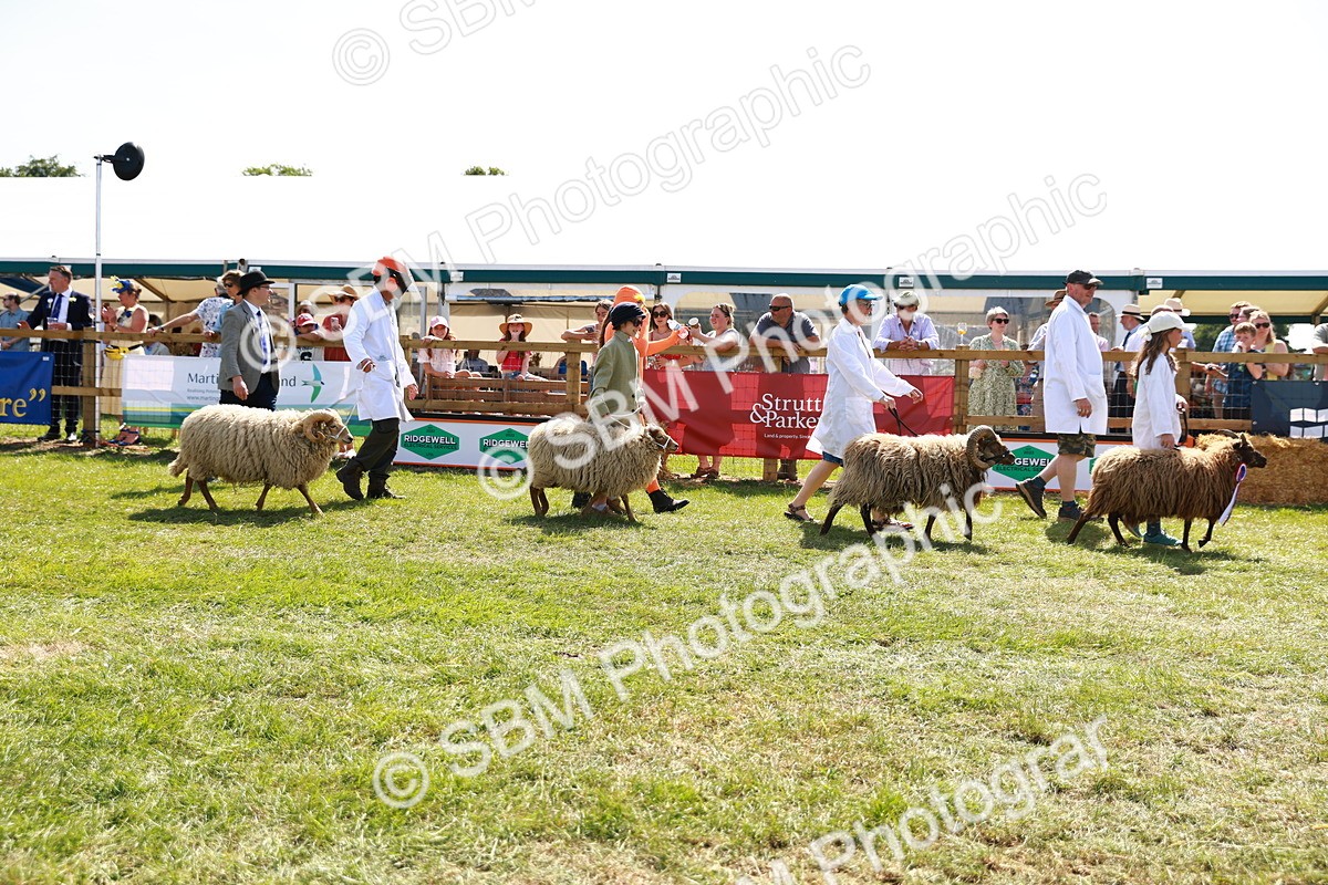 SBM_08408