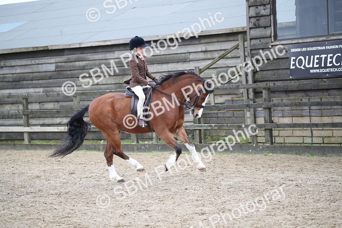 SBM_005920 - Class 10-13 - RIHS Small Large Breeds