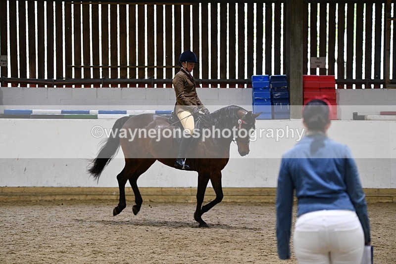 WJ5_8958 - Class 15 Ridden Show Horse