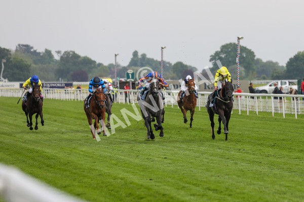 160524-Race 7-London City-2029 - Race 7 5.20pm Collective Green Energy Handicap