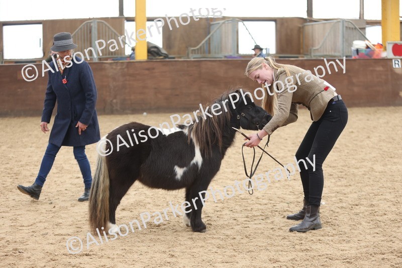 20251109-0188 - Class 10 - Yearling, Colt, Filly or Gelding