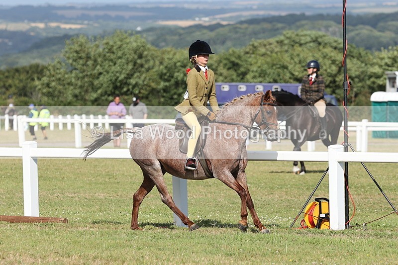 JPP_2893 - Class 20: Working Hunter 70cm