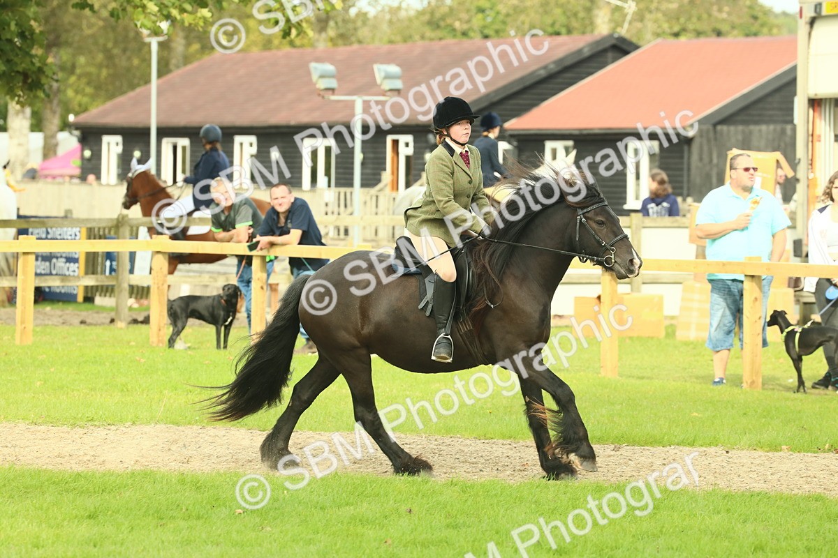 SBM_69358 - S58 - Mini Show Cob Ridden