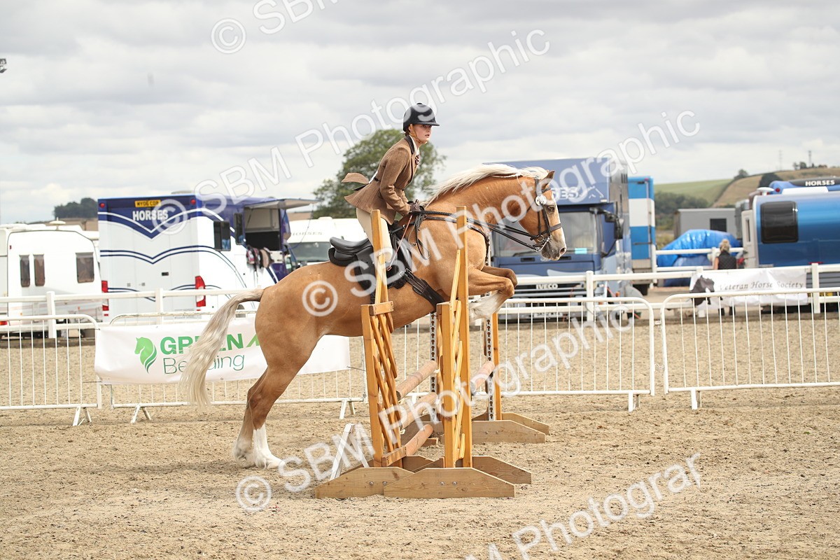 SBM_17672 - Class 508a - Working Veteran 70cm (15-19)