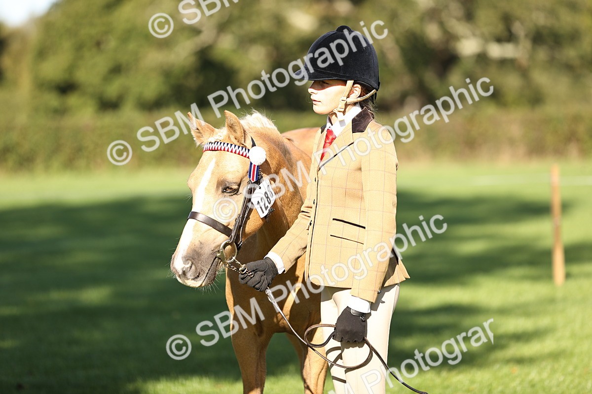 SBM_15820 - S1 - TSR in Hand Horse & Pony Showing