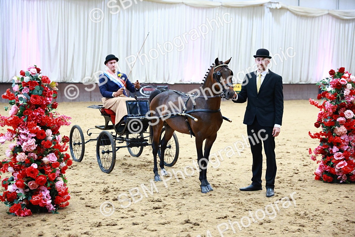 SBM_000695 - Class 9 - HHS Championship Intl Hackney Pony to a Showwagon
