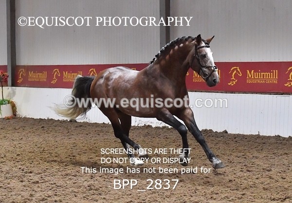 BPP_2837 - LOOSE JUMPING / SPSS