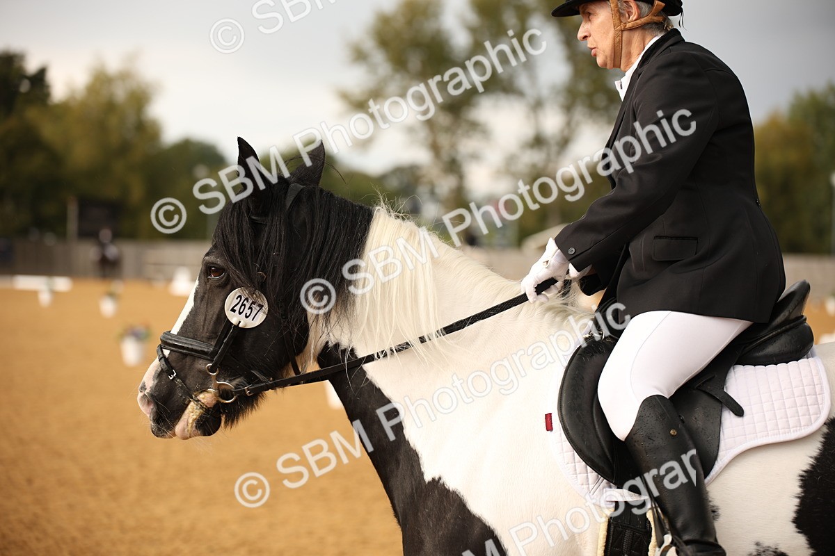 SBM_12381_D3 - Small Tour Championship - Intro A - Theresa Huttom