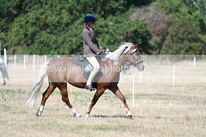 WJ7_4016 - Class 9 Mountain & Moorland Ridden