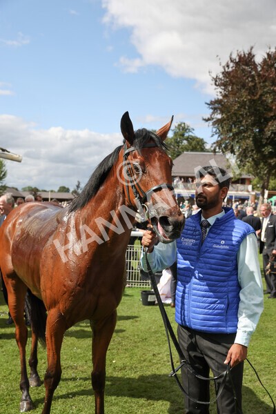 yr19082022r3-51 - Race 3 3.00pm Al Basti Equiworld Dubai Gimcrack Stakes