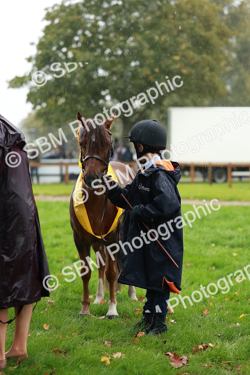 SBM_34927 - S10 - Best In Hand Horse & Pony