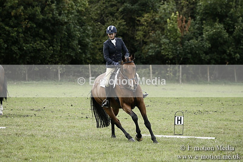 BVR080918 325 - BVRC Novice Dressage & CR 08/09/18