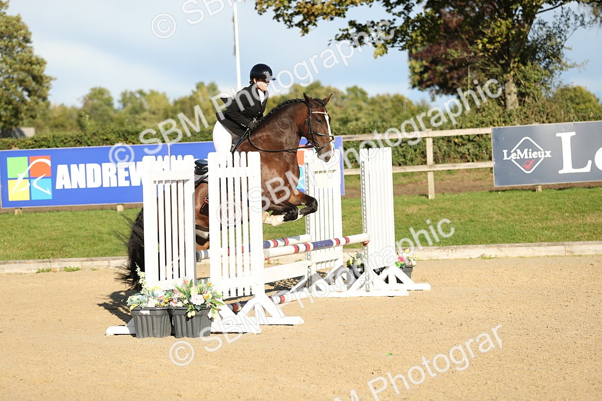 SBM_11485 - J37 - Veteran Rider 75cm