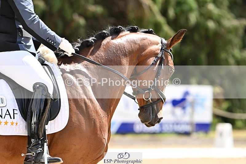 250808A-154546-01582 - 110-Alice.OppenheimerHeadmore.Forever.Ruby