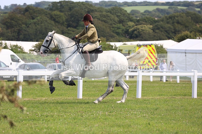 JPP_3675 - Class 23: Working Hunter 80cm