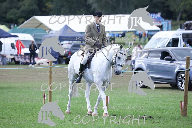 APP_4131 - Class 15a/b Pony club pony/Riding club horse