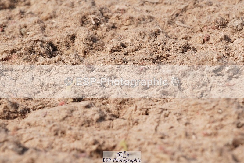 250621-161008-09670 - RoR Cls 4b-4c, Prelim