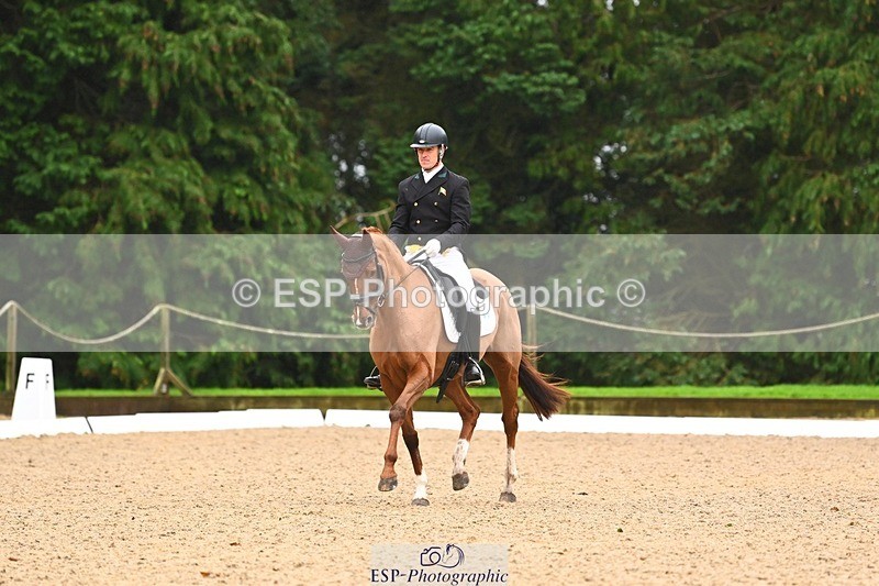 231021-104018-14496 - 231-ROUGE.ANGEL-Fred.Scala-DR