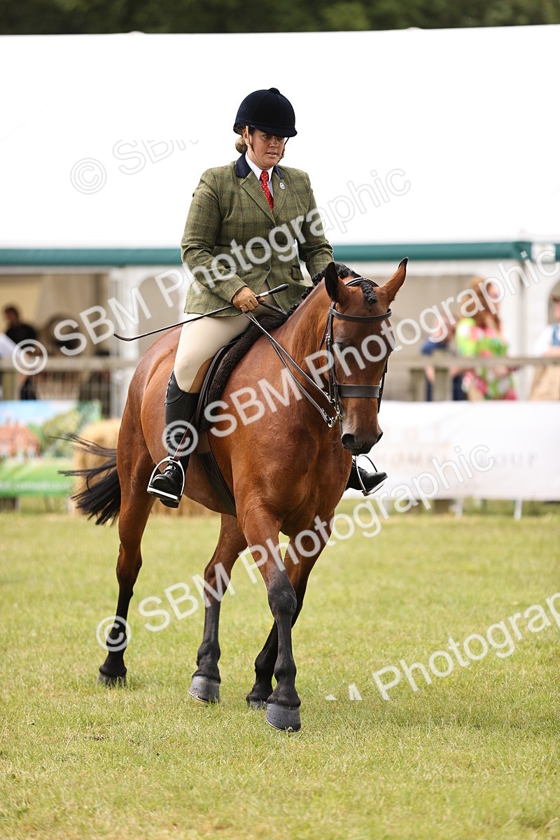 SBM_14595 - Class 88-89 - LIHS BSHA Rising Star of Ridden Hunter Type