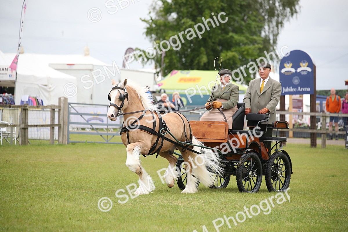 SBM_05673 - Class 12-15 - HOYS Private Driving