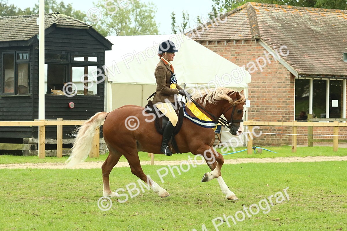 SBM_75169 - Super Supreme Championship