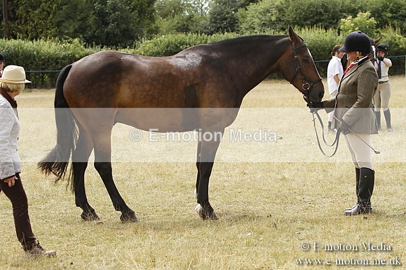 _BS_0973 - BVRC Show 2018 Ring 3