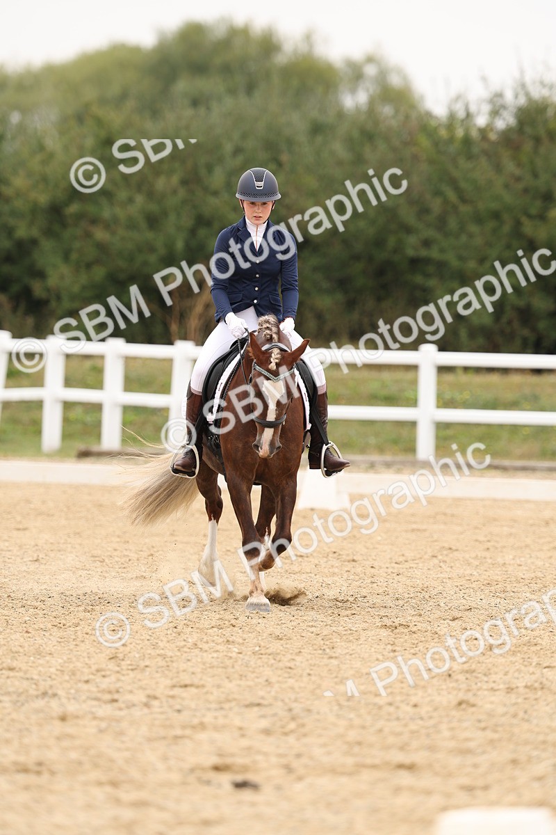 SBM_01042 - Class 8 - Novice 27 Champs