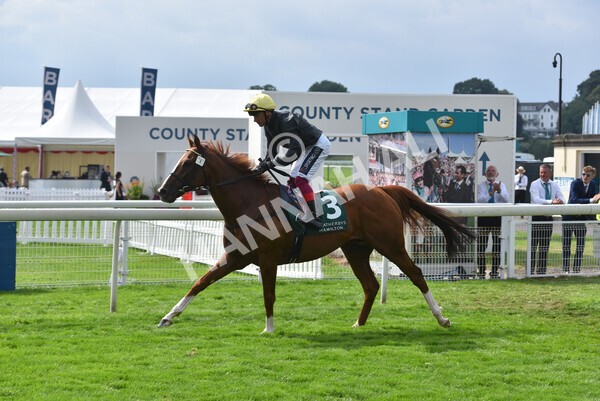 yr20082021r2-64 - Race 2 2.25pm Weatherbys Hamilton Lonsdale Cup (British Champion Series race)