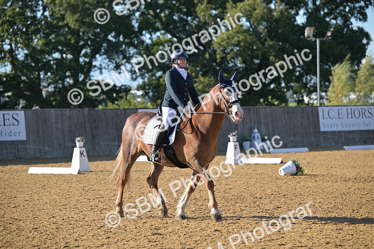 SBM_12988 - D3 - Small Tour Championship Intro 3