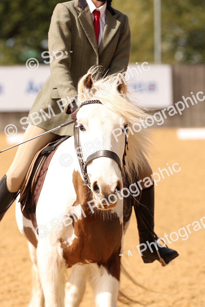 SBM_07328 - D30 - Small Tour PYO Open