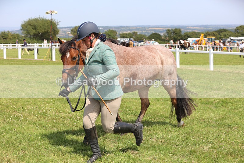 JPP_3411 - Class 22: Working Hunter 70cm