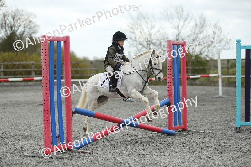 20260412-0655 - Show Jumping