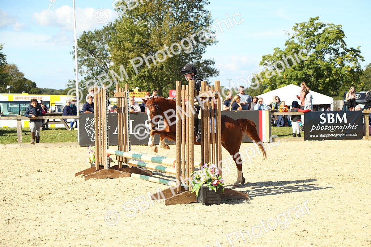 SBM_39329 - J6 - Junior Pony 55cm Championships
