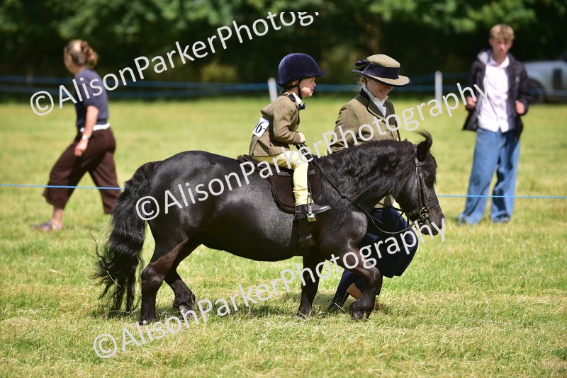 20260614-1188 - Class 11a - Lead Rein Pony (Unplaited)