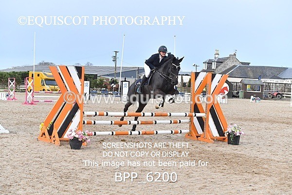 BPP_6200 - CLASS 29 SUN Club/ Unaffiliated 80cms Open